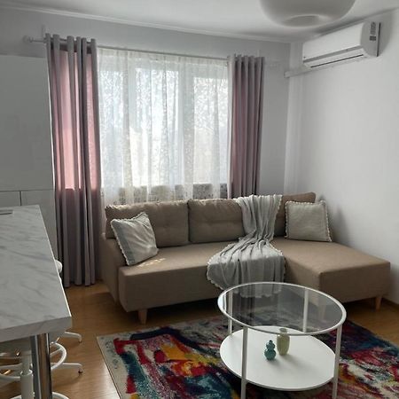 Alma Apartments Suceava Buitenkant foto