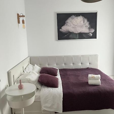 Alma Apartments Suceava Buitenkant foto