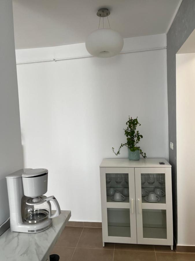 Alma Apartments Suceava Buitenkant foto